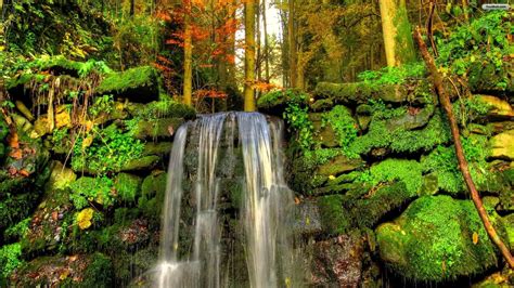 Free Download Forest Waterfall Wallpaper Wallpaperwallpapersfree