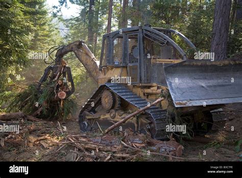 Logging Of Redwoods In Northern California Stock Photo Alamy