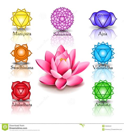 This chakra harnesses the energy to our intuition and wisdom. Lotus And Seven Chakras Stock Photos - Image: 35605643
