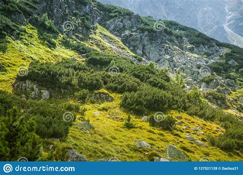 A Beautiful Summer Landscape In Mountains Natural Scenery In Mountains National Park Stock