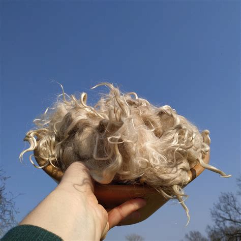 Mohair Raw 35 Oz 100 Gr Angora Wool Fiber For Spinning Etsy