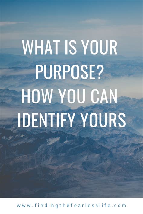 Can You Identify Your Purpose What Is Purpose What Is Life About