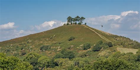 Colmers Hill Places To Visit In Dorset West Dorset Leisure Holidays