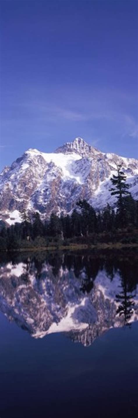Reflection Of Mountains In A Lake Mt Shuksan Picture Lake North