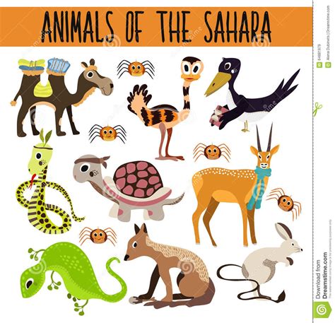 Animals In The Desert Clipart 10 Free Cliparts Download Images On