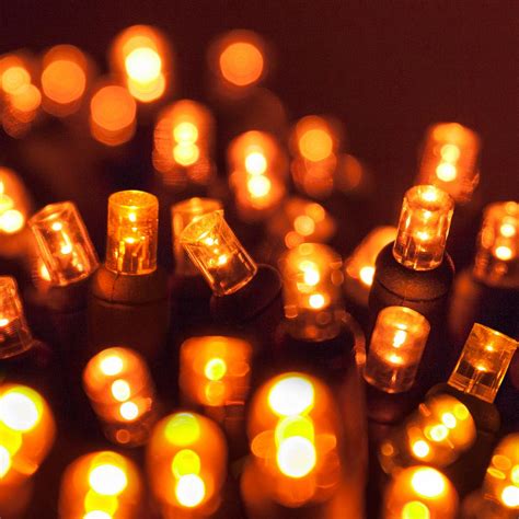 Wintergreen Lighting 24 ft. 70-Light Orange 5 mm LED Mini Light Set