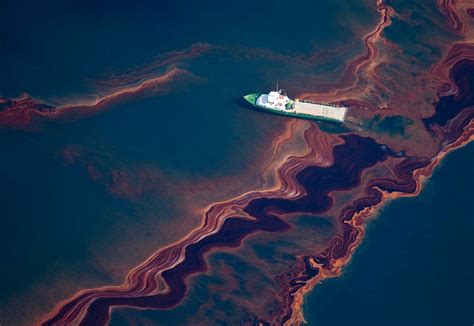 Bp Gulf Of Mexico Oil Spill Environmental Devastation Photos Public