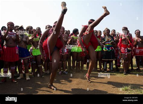 Zulu Reed Dance At ENyokeni Palace Nongoma South Africa Stock Photo