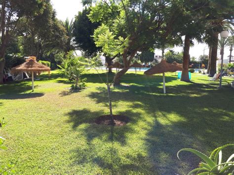 ¡encuentra tu apartamento al mejor precio! Alquiler apartamento en Benalmadena, Costa del Sol con piscina común y playa/lago próximos - Niumba