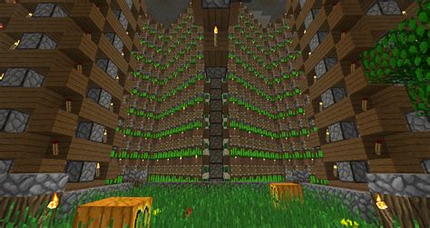 It is a plant that grows in desert biomes. My underground farming area which includes 2 halves of the ...