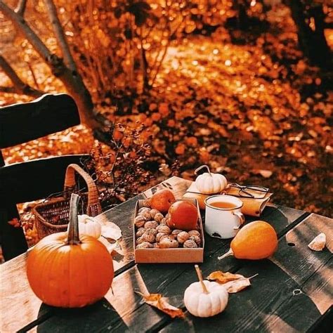 Pin By Zsu Sz On My Favorite Time Of Year Autumn Aesthetic Fall
