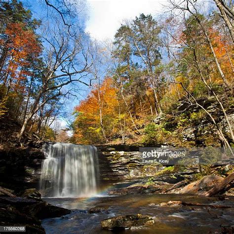 Ricketts Glen State Park Photos And Premium High Res Pictures Getty