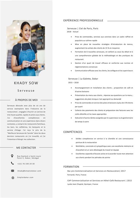 11 Exemples De Cv Professionnel Gratuits à Télécharger