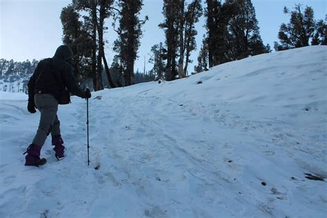 Kedarkantha One Of The Most Famous Winter Treks In India Our Next