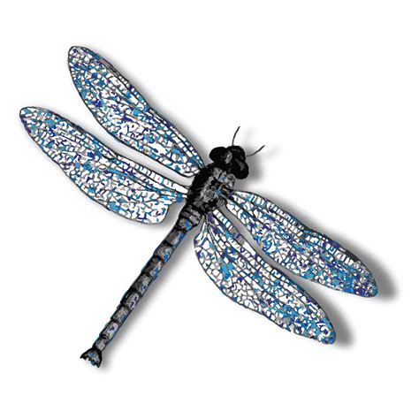 30 Transparent Background Dragonfly Png