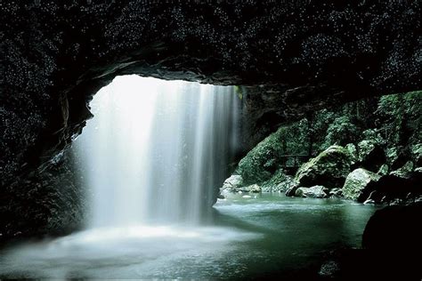 Natural Bridge Glow Worm Night Tour From Gold Coast Discover Hidden