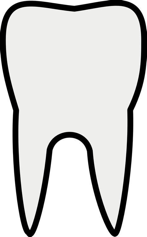 Clip Art Tooth Clipart Best