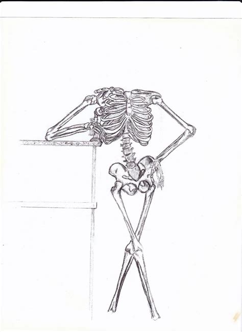 Cody Serio Unfinished Skeleton Sketch