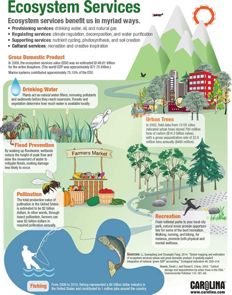Infographic Ecosystem Services Ap Environmental Science