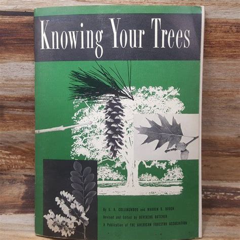 Knowing Your Trees 1974 American Forestry Association Etsy Vintage