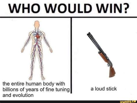 Who Would Win Human Body Billions Of Years Of Fine Tuning A Loud Stlck And Evolution