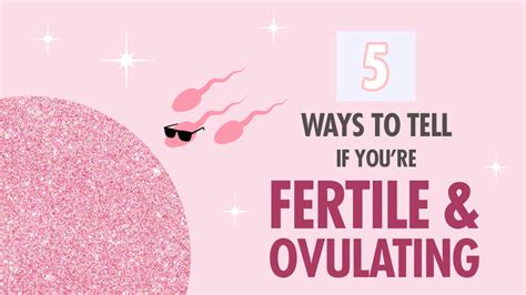 How To Know When Youre Fertile And Ovulating T1d Living
