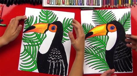 How To Draw A Realistic Toucan Art For Kids Hub