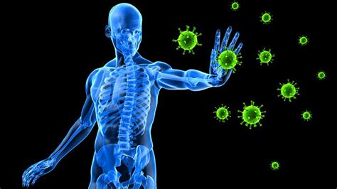 Microbes evolved to colonize different parts of the human body. 10 Amazing Facts About Your Immune System | Everyday Health