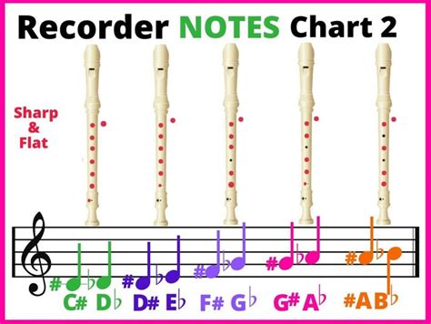 It's the placement of the note on those lines or spaces that tells you what note to play and how long to. Pin on Recorder Notes Chart