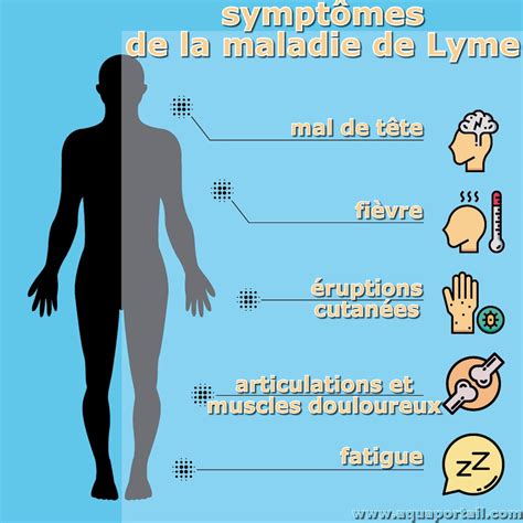 Symptôme Définition Et Explications Aquaportail