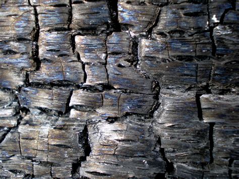 Charred Wood Texture 3 By Pariahrisingstocks On Deviantart