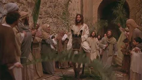 Triumphal Entry And Results Videos Youversion The Bible App