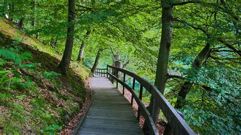 Jag besökte söderåsens nationalpark den 13 juni 2014. Söderåsens nationalpark, Skäralid | Söderåsen is a horst ...