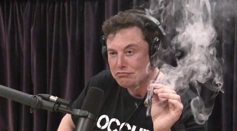 This is a meme in russia. The Internet Reacts To Elon Musk Asking For Ur Dankest ...