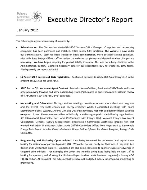 Ceo Report Template 23 Project Report Templates Free Sample