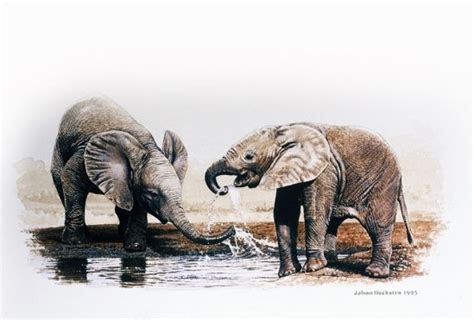 Acrylics Elephant Calves Drinking 1995 Johan Hoekstra Wildlife Art