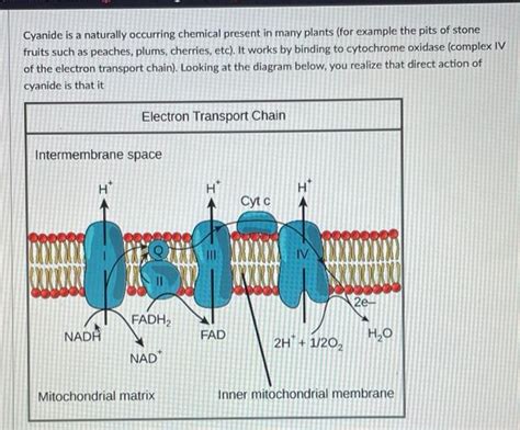 Solved Cyanide Is A Naturally Occurring Chemical Present In Chegg Com