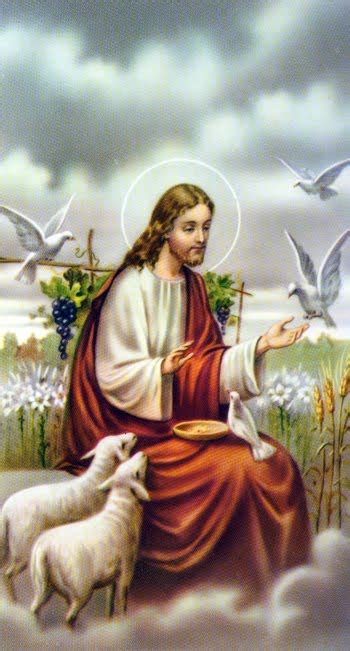 Holy Cards Jesus Loves The Animals
