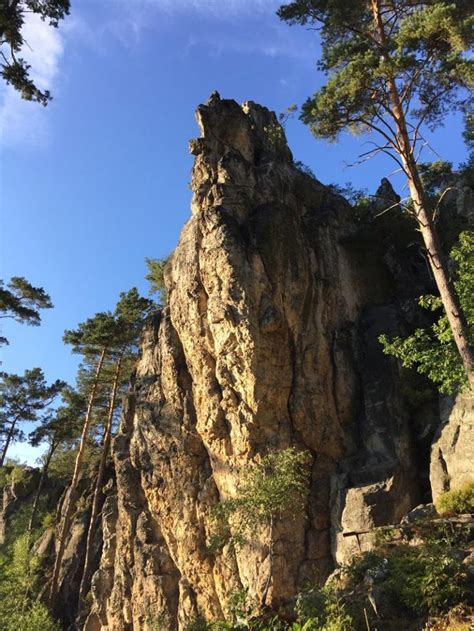 Vorbei an aussichtstürmen, nadelwald, glashütten und holzhäusern. Aktivrundreise Tschechien: Erfahrungsbericht zu Wandern ...