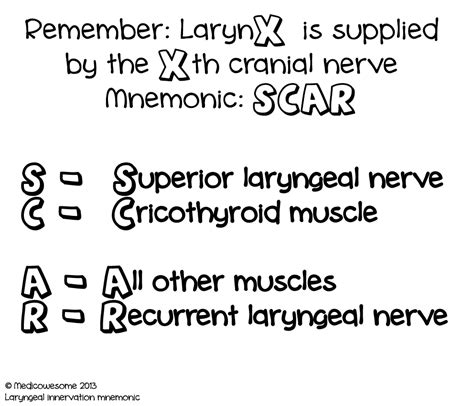 Medicowesome How To Make Medical Mnemonics