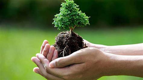 Let S Protect Our Environment Essay In Sinhala