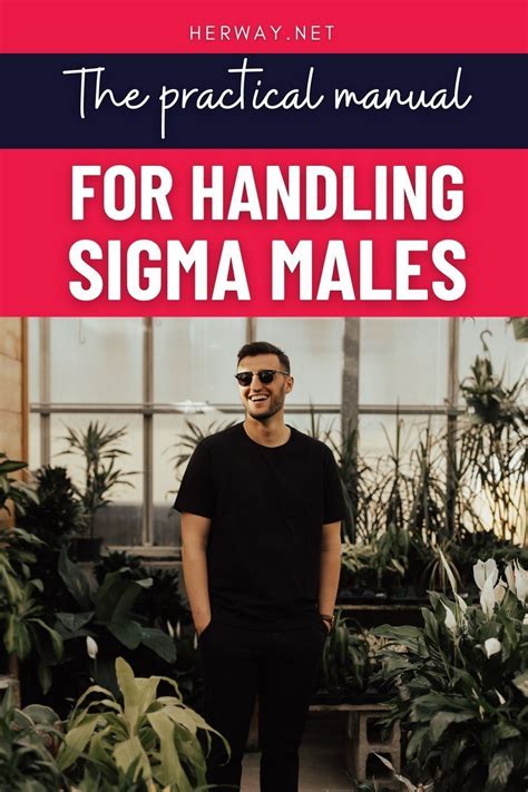 Read On And Find Out More About A Sigma Male His Most Common