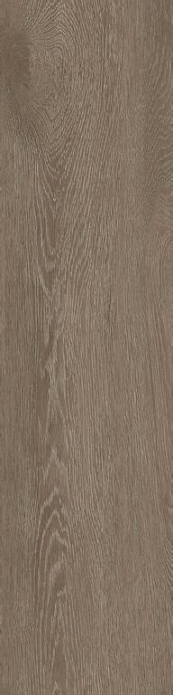 Tapijttegelstunternl Lvt Textured Woodgrains Planks Vinyl