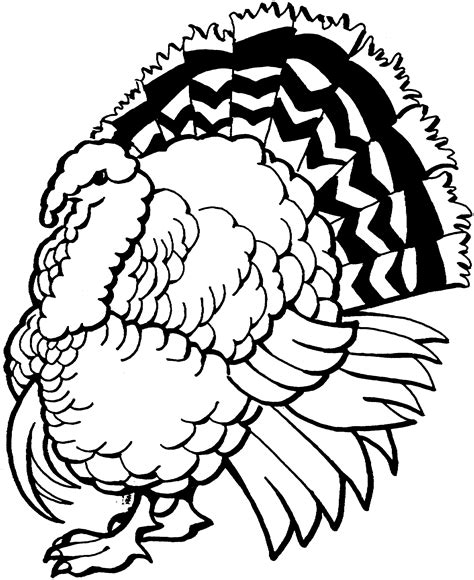 Color Pages Turkeys Printable