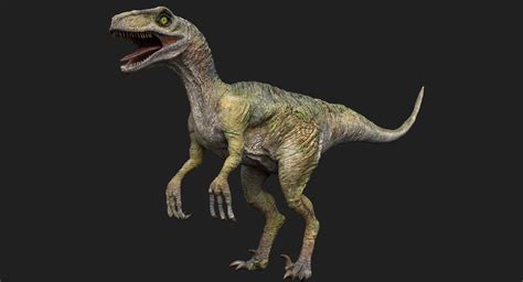 Realistic Raptor Rigged 3d Model