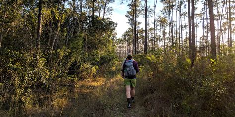 Best Hiking In Florida Laptrinhx News
