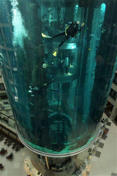 Unbelievable: Elevator Inside Aquarium (11 pics) - Izismile.com