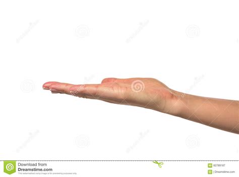 Open A Woman S Hand Palm Up Stock Image Image Of Finger Cosmetics