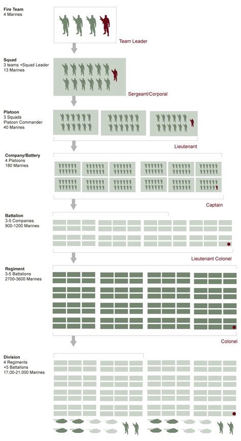 Us Military Structure Chart Army Rank Structure In