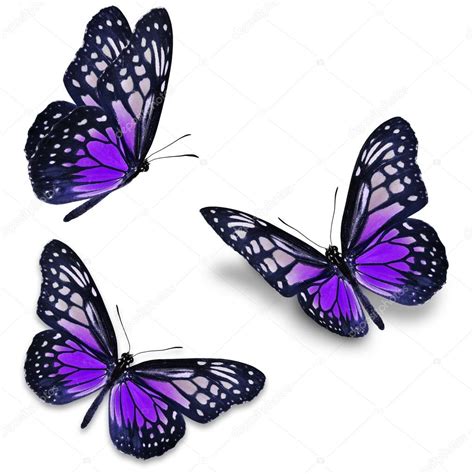 Purple Butterfly — Stock Photo © Thawats 67125115